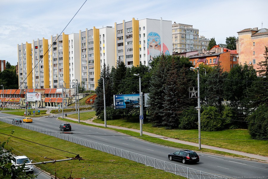В Калининграде на фасаде девятиэтажки нарисовали врача в маске (фото)