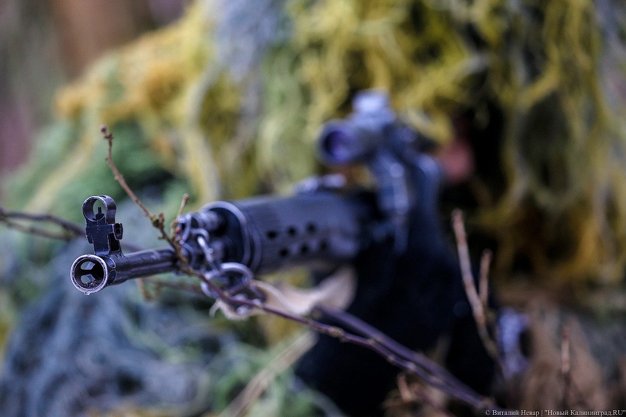Человек-мох: как снайперы Балтфлота вели разведку в лесу