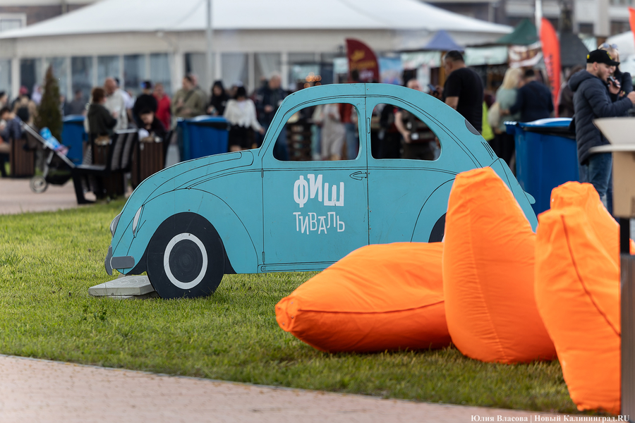 И рыба, и мясо: в Зеленоградске открылся гастрономический «Фиштиваль» (фото)