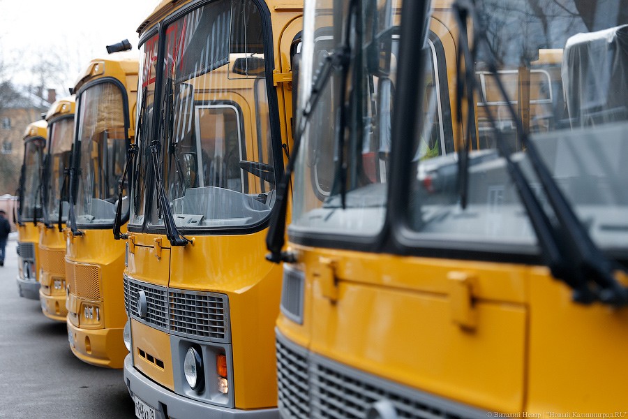 В Калининграде намерены отменить автобусный маршрут № 101