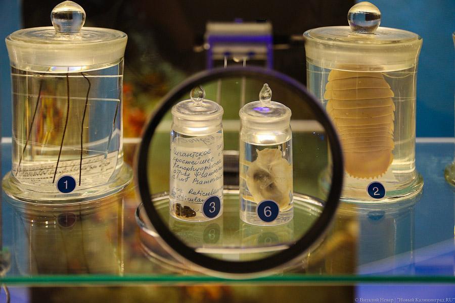 На уникальной глубине: что представляет собой новый комплекс ММО