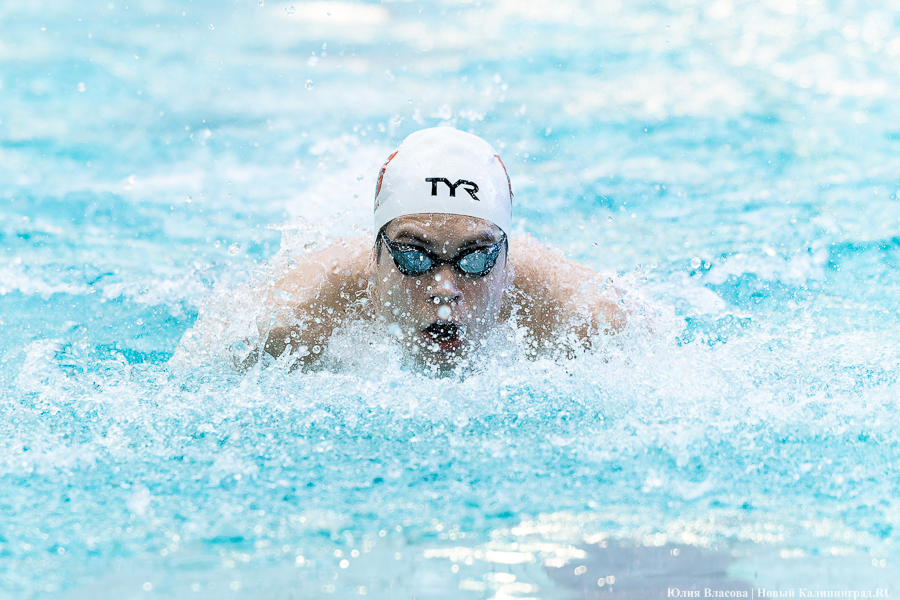 Легкой воды: как Калининград впервые принимал Кубок России по плаванию (фото)