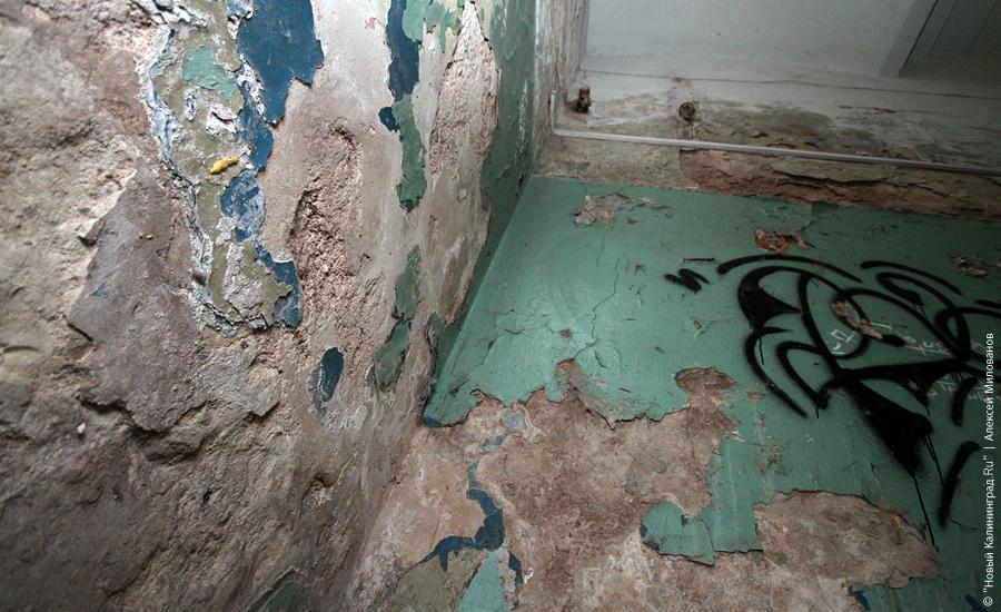 "Неизменная космическая чистота": фоторепортаж "Нового Калининграда.Ru"