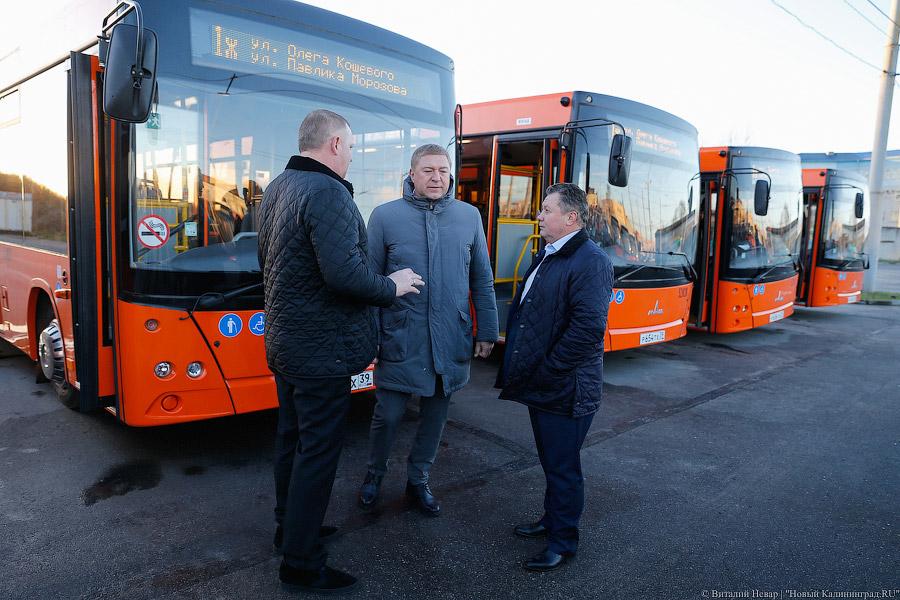 «Сделав шаг»: в Калининграде появились новые низкопольные автобусы (фото)