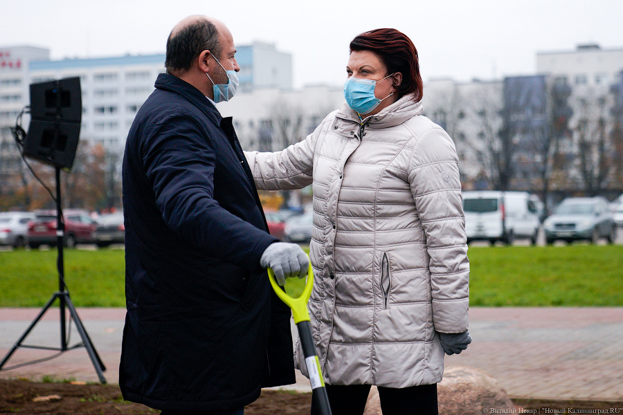 «Платанические» отношения: чиновники и бизнесмены посадили аллею у Дома Советов (фото)