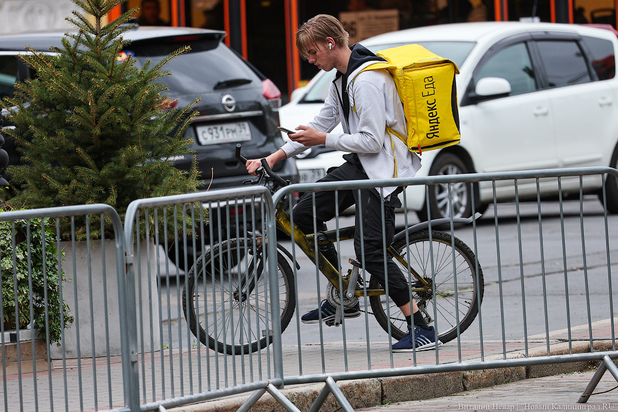 Лыжи, велики, унициклы: как прошёл велопарад в Калининграде (фото)