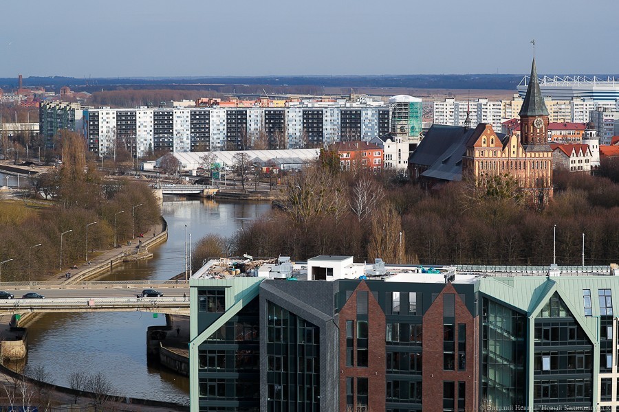 Виталий Невар / Новый Калининград
