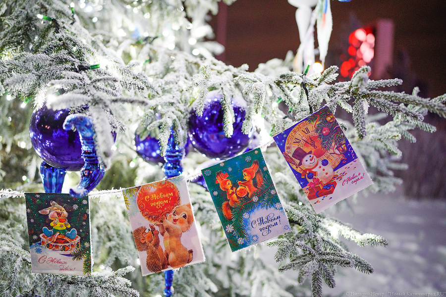 Россияне поделились своими ожиданиями от 2022 года