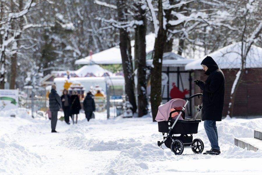 Снежная каша и около нуля: погода в Калининградской области 12 февраля