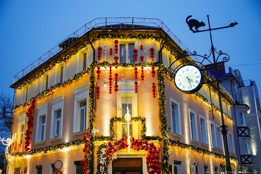 Фото: Виталий Невар / Новый Калининград