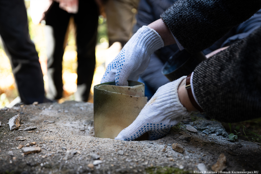 Эхо прошлого: в Калининградском зоопарке извлекли 94-летнюю «капсулу времени» (фото)