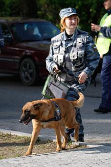 Полицейские с собаками проверили школы Калининграда перед 1 сентября