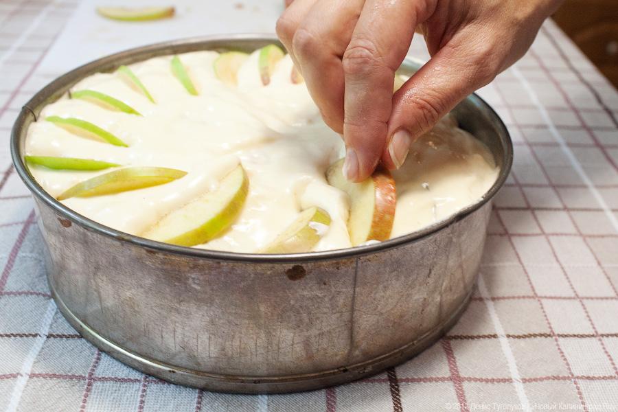 Спасу нет: классическая шарлотка от Елены Воропаевой