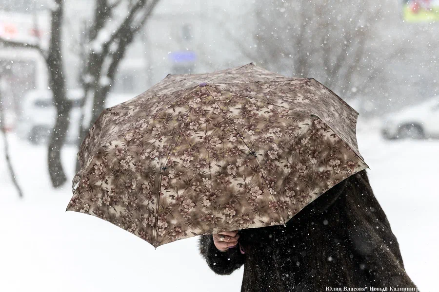 Ветер, снег, ледяной дождь и гололёд: синоптики уточнили прогноз до конца недели