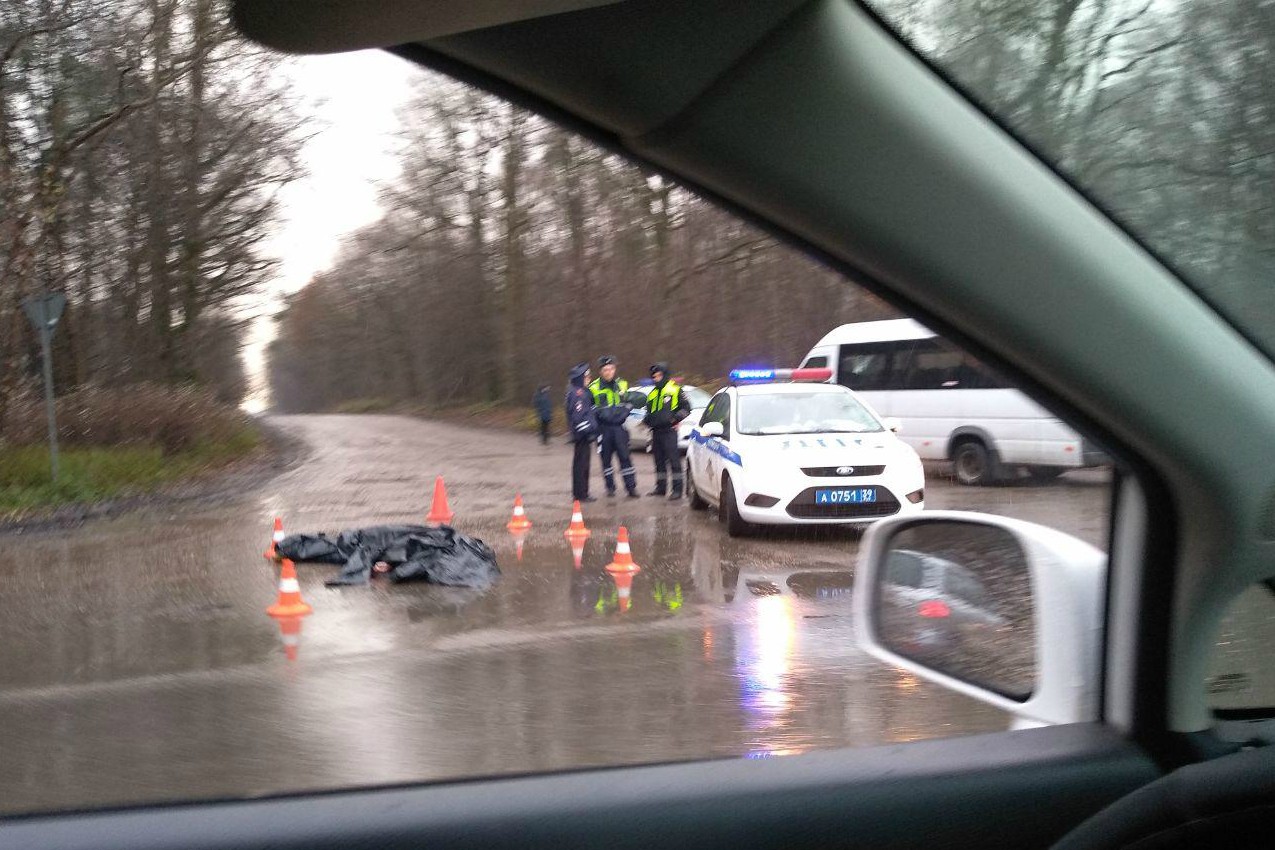 Очевидцы: на балтийской трассе насмерть сбили мужчину (фото)