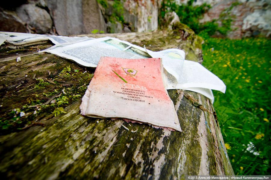 «Если вас это так волнует...»: у руин кирхи в Чехово раскопано немецкое кладбище