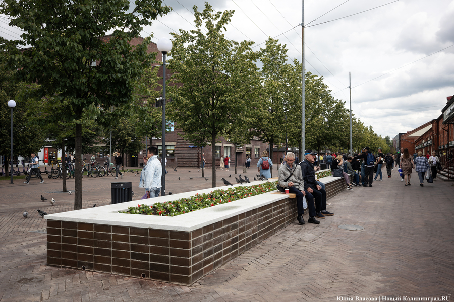 Вместо развалившихся: на улицу Баранова вернули вазоны-лавки за 12,5 млн рублей (фото)