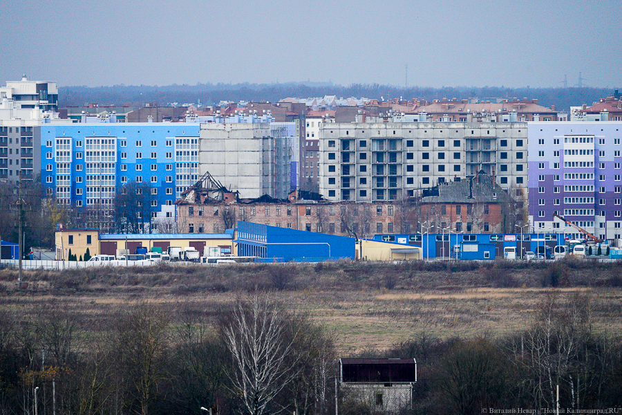 Фото: Виталий Невар / Новый Калининград 
