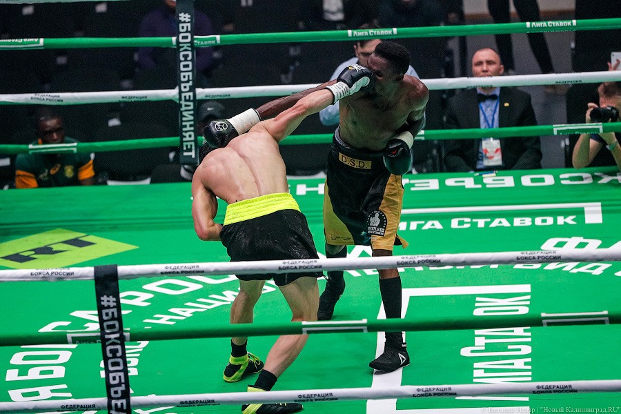 Раздельным решением судей: Чухаджян взял титул WBA International в Калининграде