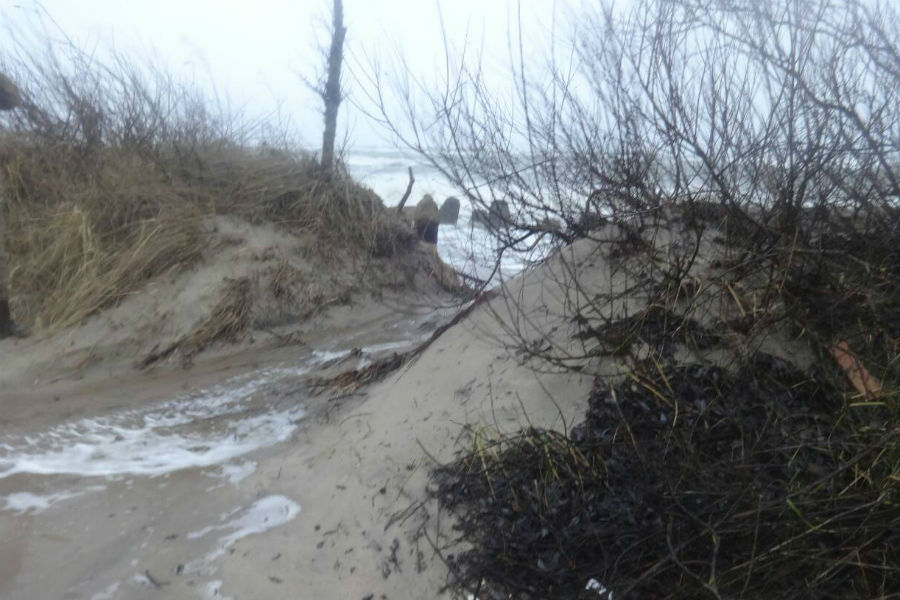 На Куршской косе во время шторма смыло авандюну (видео)