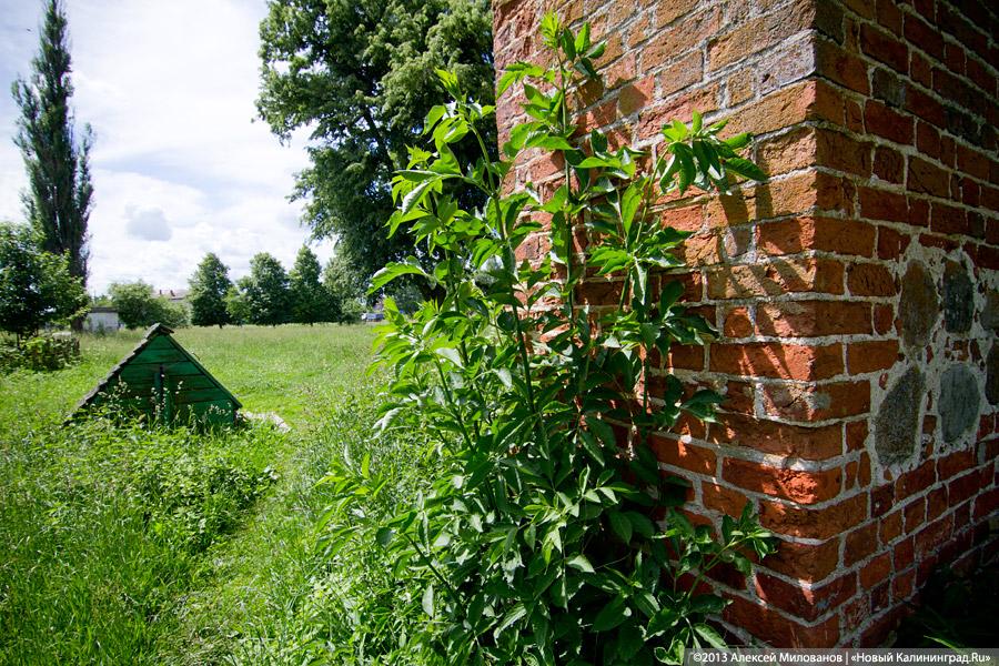 Протестанты и надгробия: кирху в пос. Дружба перестали восстанавливать после передачи РПЦ