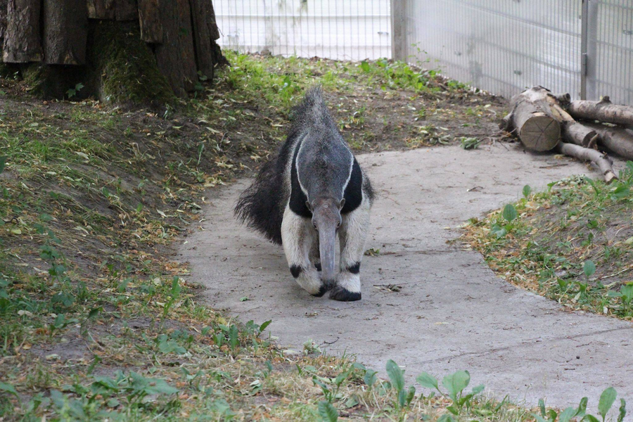 Фото — архив редакции