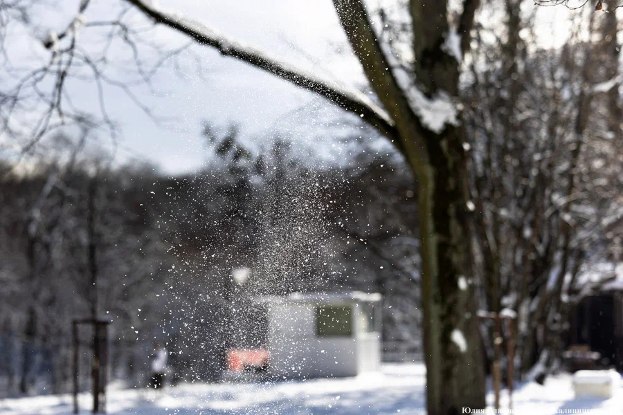 Облачно и без осадков: погода в Калининградской области 16 января