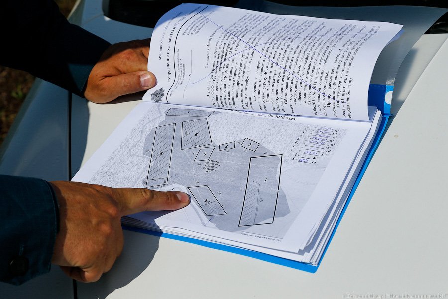 «Пламя из недр»: что происходит на горящих короотвалах в Калининграде (фото)