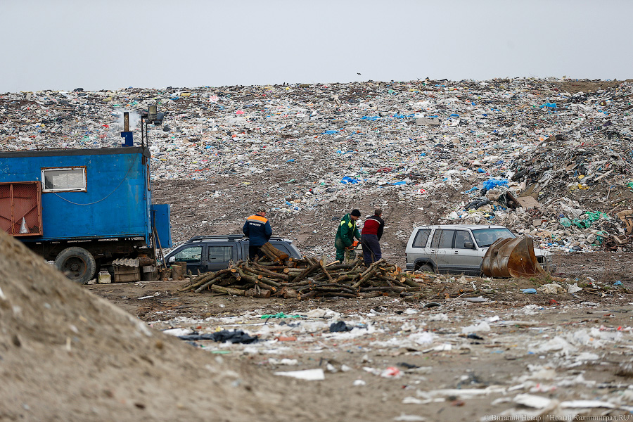 Калининградские мусорные полигоны временно прекратили прием отходов от промышленных предприятий