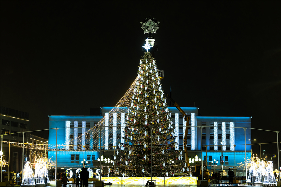 Конусу конец: как выглядит центр Калининграда с новой ёлкой (фото)