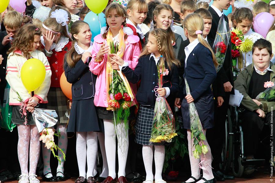 "Новые стандарты и старые методы": репортаж "Нового Калининграда.Ru"