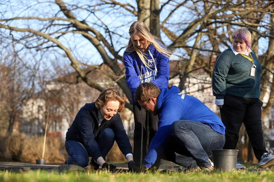 У корпуса БФУ высадили аллею сирени (фото)