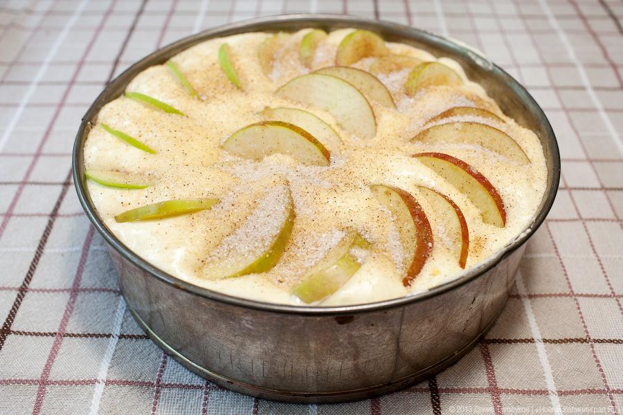 Спасу нет: классическая шарлотка от Елены Воропаевой