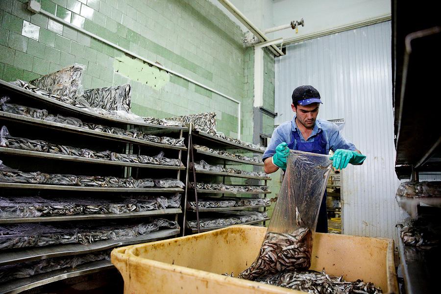 Без паники и спасибо Путину: что думают производители хлеба и консервов о продовольственном эмбарго