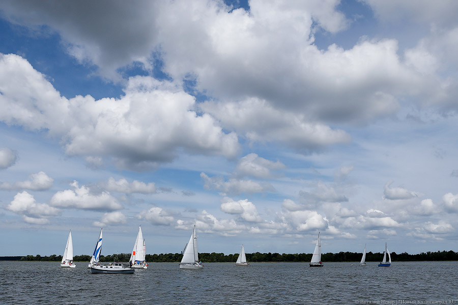 «Паруса духа»: как в Калининградском заливе инвалиды в регате побеждали