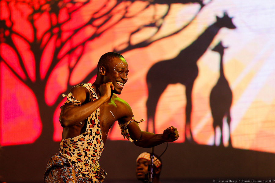Да здравствует милая Африка!: второй день фестиваля «Территория мира»