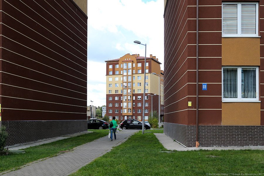 Фото — Виталий Невар, «Новый Калининград.Ru»