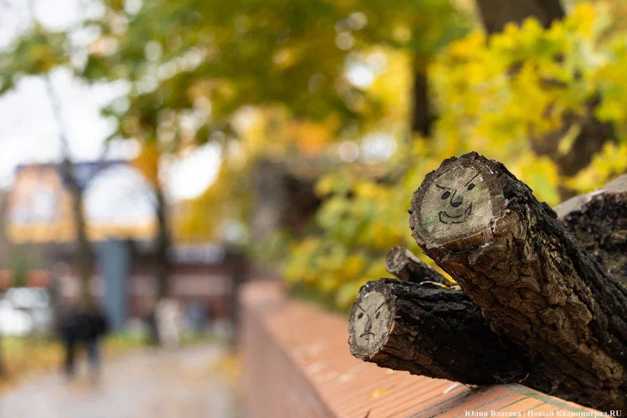 Погода в Калининградской области 12 ноября