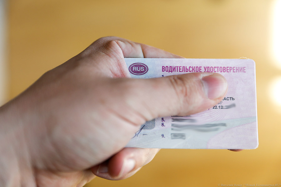 МВД утвердило изменения в водительские удостоверения и ПТС