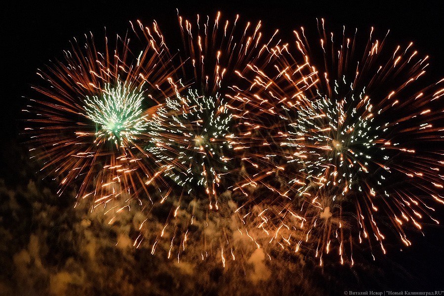 Фото: Виталий Невар / Новый Калининград