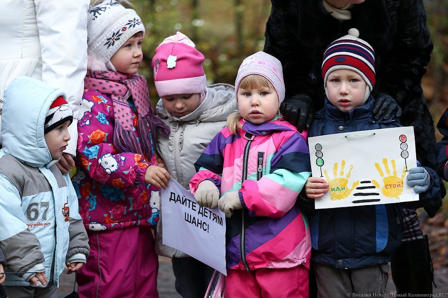 «Заметьте нас»: в Калининграде дети вышли на пикет в поддержку пешеходов 