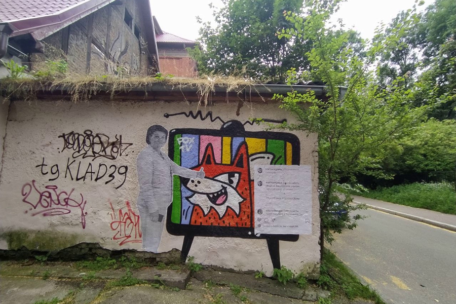 В Калининграде появился стрит-арт с Мариной Оргеевой (фото)