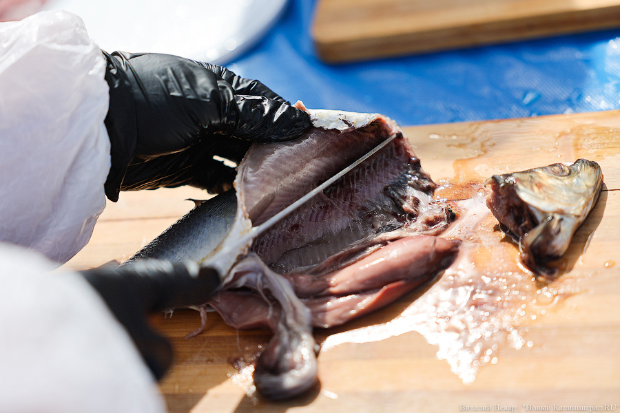 Рыжая заря и бульбачка: День селёдки вернулся в Калининград (фото)