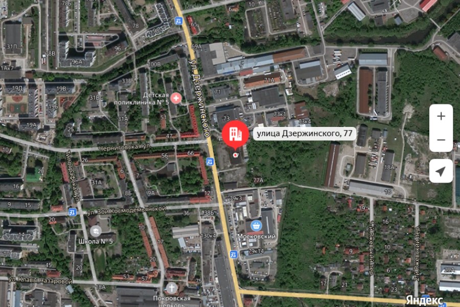 Автодорожное предприятие получило порубочный билет на 15 деревьев у Московского рынка