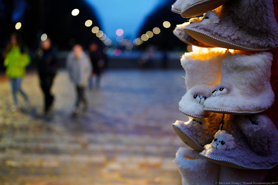 Девочки, записываемся на ободочки: в Калининграде открылась новогодняя ярмарка на острове Канта (фото)