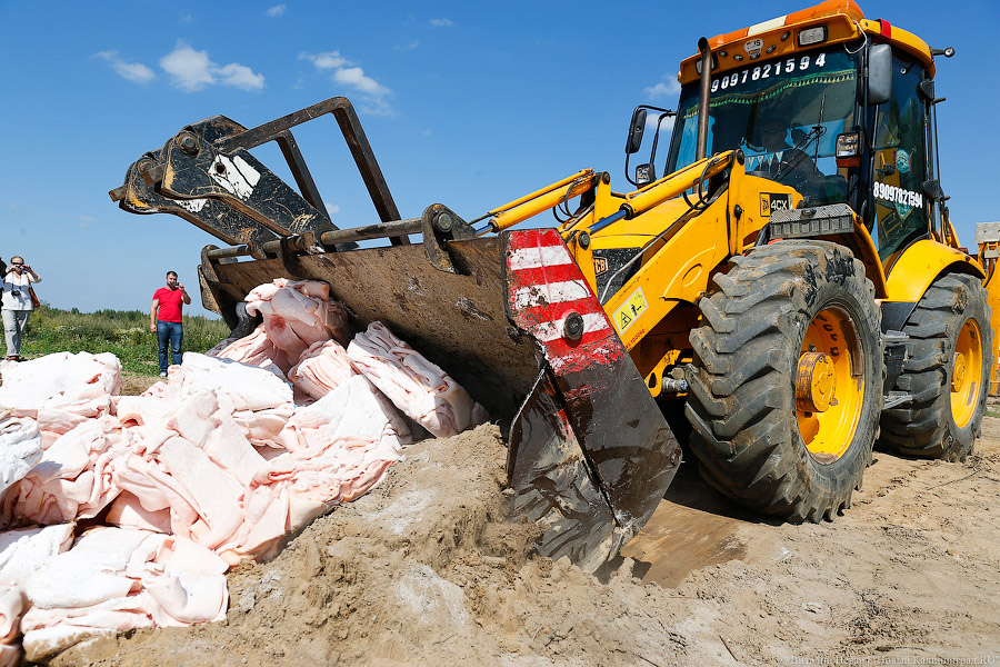С начала года Россельхознадзор уничтожил 17,3 тыс тонн «санкционки»
