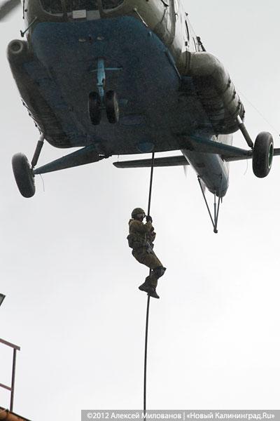 «Под флагом Башара»: фоторепортаж с антитеррористических учений