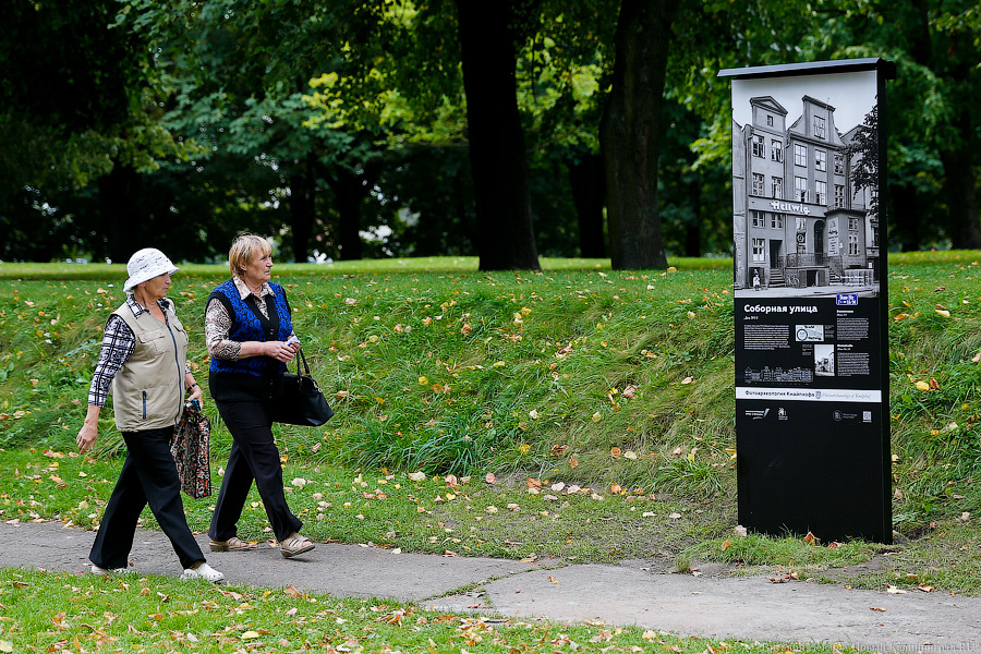 Прогулки по Кнайпхофу: о чём рассказывают новые стенды на острове Канта