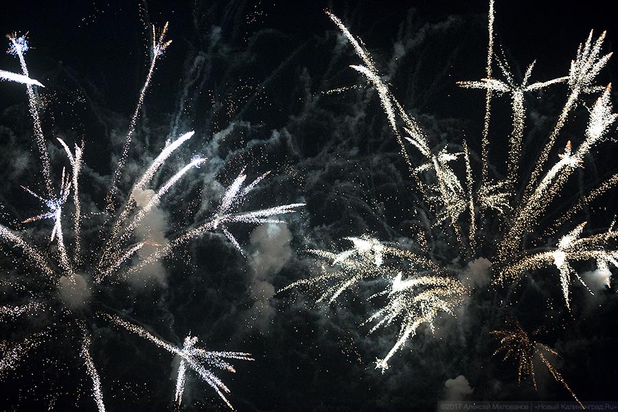 Бесконтактный зоопарк: самый удачный гала-концерт Дня города в Калининграде