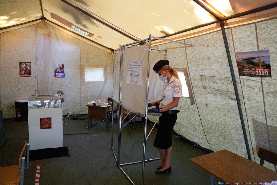 Поправки в палатках: как проходит голосование за изменение Конституции в Балтийске (фото)